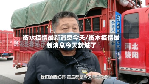 衡水疫情最新消息今天/衡水疫情最新消息今天封城了-第2张图片