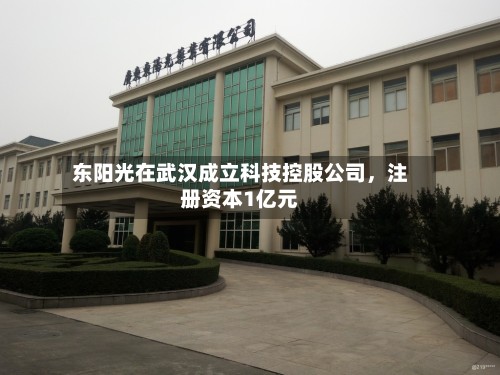 东阳光在武汉成立科技控股公司，注册资本1亿元